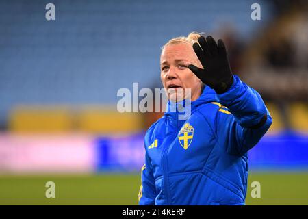 Malmö, Schweden. 31. Oktober 2023. Malmö New Arena, Malmö, Schweden, 31. Oktober 2023: Caroline Seger (17 Schweden) nach dem Spiel in der UEFA Nations League am 31. Oktober 2023 zwischen Schweden und Italien im Malmö New Stadium in Malmö, Schweden (Peter Sonander/SPP) Credit: SPP Sport Press Photo. /Alamy Live News Stockfoto