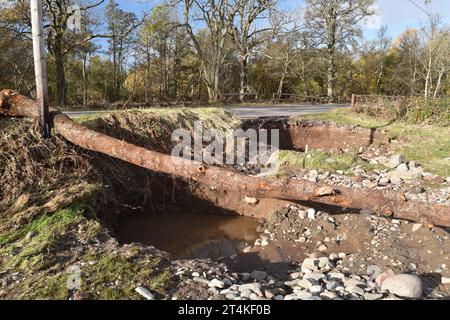 Erosion am Straßenrand, ein umgestürzter Baum und Trümmer: Die Folgen der Überschwemmung des South Esk River bei Justinhaugh, Angus, Großbritannien im Oktober 2023. Stockfoto