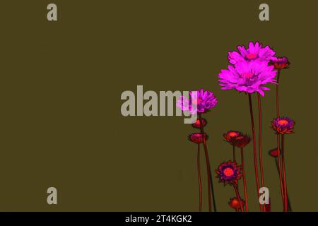 Surreale rosa Blumen auf grünem Hintergrund mit Kopierraum Stockfoto