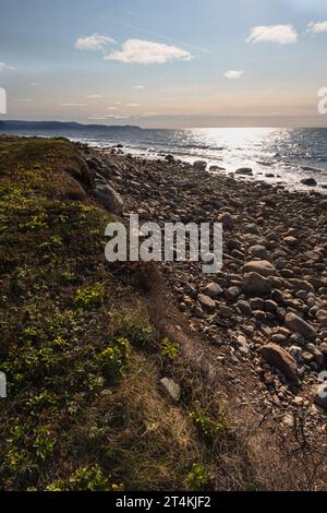 Sonnendurchflutetes Wasser und Vegetation auf dem felsigen Westküstenpfad vom Bakers Brook zum Green Point Neufundland am späten Nachmittag Stockfoto