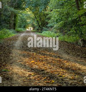 Katy Trail in der Nähe von McKittrick, Missouri, in der frühen Herbstlandschaft - 237 km langer Radweg, der aus einer alten Eisenbahn umgebaut wurde Stockfoto