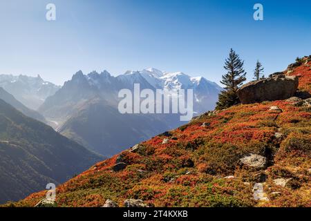 Herbstfarben in Chamonix mit Aiguille du Midi und Mont Blanc in Frankreich Stockfoto