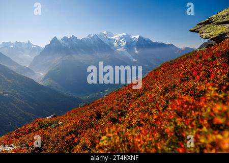 Herbstfarben in Chamonix mit Aiguille du Midi und Mont Blanc in Frankreich Stockfoto