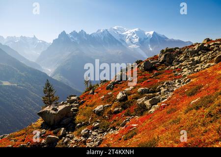 Herbstfarben in Chamonix mit Aiguille du Midi und Mont Blanc in Frankreich Stockfoto