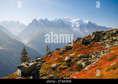 Herbstfarben in Chamonix mit Aiguille du Midi und Mont Blanc in Frankreich Stockfoto