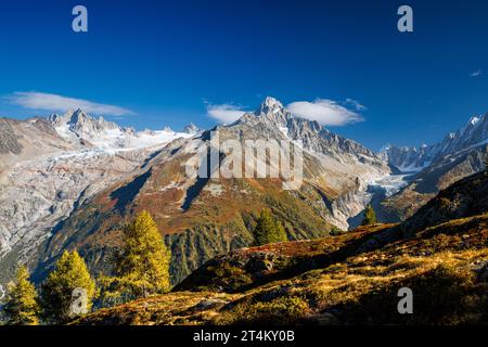 Glacier d'Argentière, Glacier du Tour mit Aiguille du Tour und Aiguille du Chardonnet im Herbst in der Nähe von Chamonix, Frankreich Stockfoto