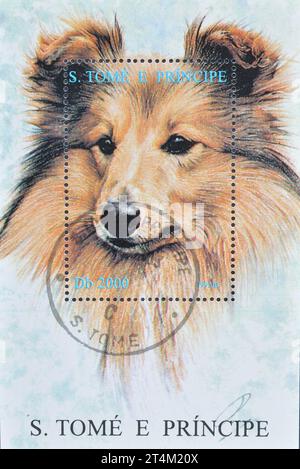 Souvenirbogen mit abgestempelter Briefmarke von São Tomé und Príncipe, die Collie zeigt, um 1995. Stockfoto