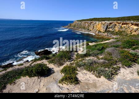 Die zerklüftete Küste rund um den Whaler's Way im Lincoln National Park auf der Eyre Peninsula in Südaustralien Stockfoto