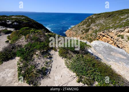 Die zerklüftete Küste rund um den Whaler's Way im Lincoln National Park auf der Eyre Peninsula in Südaustralien Stockfoto