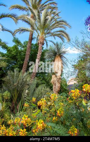 Le Jardin Secret in Marrakesch Stockfoto