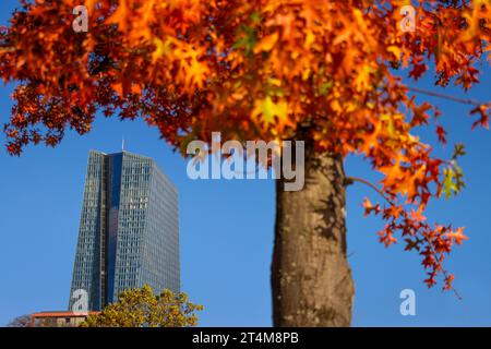 Die Europäische Zentralbank EZB im Herbst das Laub der Bäume um das Gebäude der Europäischen Zentralbank EZB im Frankfurter Osthafengebiet herum hat sich herbstlich bunt verfärbt. Frankfurt am Main Osthafen Hessen Deutschland *** die Europäische Zentralbank EZB im Herbst hat sich das Laub der Bäume um das Gebäude der Europäischen Zentralbank im Raum Frankfurts Osthafen in einen bunten Herbst verwandelt Frankfurt am Main Osthafen Hessen Deutschland 2023-10-31 ffm ezb 03 Credit: Imago/Alamy Live News Stockfoto