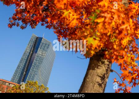 Die Europäische Zentralbank EZB im Herbst das Laub der Bäume um das Gebäude der Europäischen Zentralbank EZB im Frankfurter Osthafengebiet herum hat sich herbstlich bunt verfärbt. Frankfurt am Main Osthafen Hessen Deutschland *** die Europäische Zentralbank EZB im Herbst hat das Laub der Bäume um das Gebäude der Europäischen Zentralbank in Frankfurts Osthafen einen bunten Herbst verwandelt Frankfurt am Main Osthafen Hessen Deutschland 2023-10-31 ffm ezb 02 Credit: Imago/Alamy Live News Stockfoto