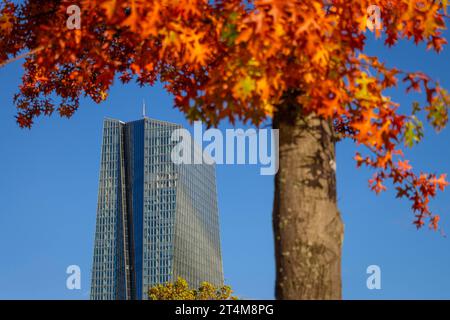 Die Europäische Zentralbank EZB im Herbst das Laub der Bäume um das Gebäude der Europäischen Zentralbank EZB im Frankfurter Osthafengebiet herum hat sich herbstlich bunt verfärbt. Frankfurt am Main Osthafen Hessen Deutschland *** die Europäische Zentralbank EZB im Herbst hat sich das Laub der Bäume um das Gebäude der Europäischen Zentralbank im Raum Frankfurts Osthafen in einen bunten Herbst verwandelt Frankfurt am Main Osthafen Hessen Deutschland 2023-10-31 ffm ezb 01 Credit: Imago/Alamy Live News Stockfoto