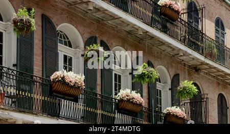 Hängende Pflanzkörbe und Pflanzkästen an einem Gebäude in New orleans Stockfoto