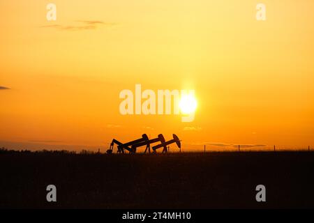 Vier Ölpumpjacks auf einer Wiese unter einer Landschaft bei Sonnenuntergang in Alberta Stockfoto
