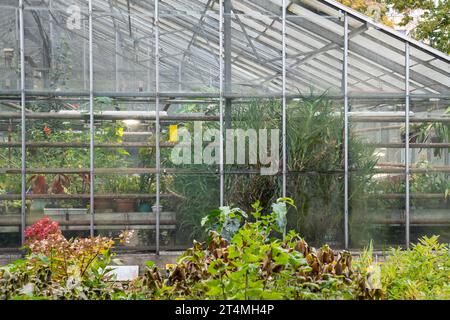 Glasgewächshaus im botanischen Garten mit verschiedenen Pflanzenblumen. Orangerie, Blumengewächshaus. Stockfoto