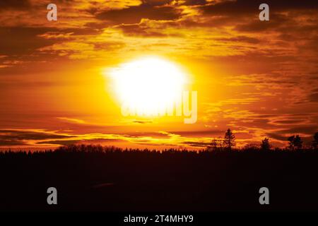 Silhouette Bäume gegen den Himmel während des Sonnenuntergangs Stockfoto