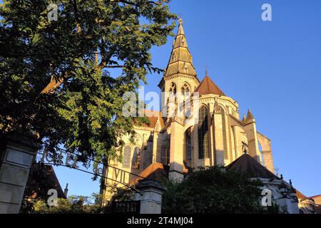 Semur-en-Auxois: Kirche (Collégiale Notre-Dame) in Gold und Eingang zum Hotel de Ville kurz nach Sonnenaufgang in Semur en Auxois, Burgund, Frankreich Stockfoto