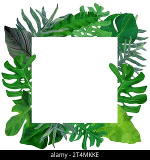 Aquarell handgezeichnete tropische Blätter in einem Rahmen. Design für Abdeckungen, Etiketten, Verpackungen, Jahreszeitdekor, Tapeten. Wilder grüner Dschungel. Brasilianischer Regenwald Stockfoto