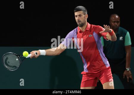 Paris, Frankreich. 31. Oktober 2023. Novak Djokovic aus Serbien spielt Doppel am zweiten Tag des Rolex Paris Masters 2023, ATP Masters 1000 Tennis Turniers am 31. Oktober 2023 in der Accor Arena in Paris, Frankreich - Foto Jean Catuffe/DPPI Credit: DPPI Media/Alamy Live News Stockfoto