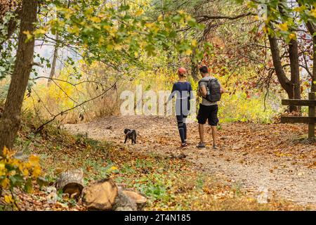 Ein Paar spaziert mit ihrem Hund auf dem Amicalola Falls Loop Trail durch das Herbstlaub im Amicalola Falls State Park in den Blue Ridge Mountains in Georgia. (USA) Stockfoto