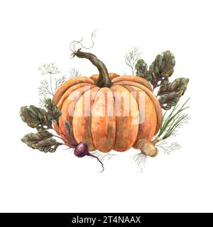 Kürbis in Aquarellfarben mit grünen Rüben und Zwiebeln. Handgezeichnete botanische Illustrationen auf isoliertem Hintergrund. Für das Herbsterntefest Stockfoto