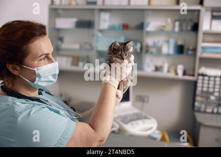 Tierarzt mit medizinischer Maske hält niedliche kleine tabby Kätzchen bei Termin in der Klinik Stockfoto