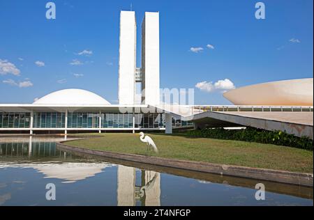 Palacio do Congresso Nacional oder National Congress Palace, Architekt Oscar Niemeyer, vor einem großen Reiher (Ardea alba), Brasilia, Distrito Stockfoto
