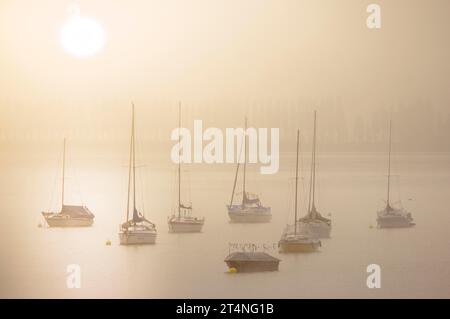 Nebel über dem Bodensee an einem Herbstmorgen mit Segelbooten, Seegarten, Allensbach, Baden-Wuerttemberg, Deutschland Stockfoto