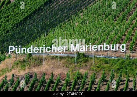 Puendericher Marienburg, Weinberge, Moseltal, Rheinland-Pfalz, Deutschland Stockfoto