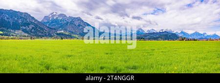Blühende Elendswiese, hinter Wallfahrtskirche St. Coloman, Schloss Neuschwanstein und Saeuling, 2047m, Allgäu, Bayern, Deutschland Stockfoto