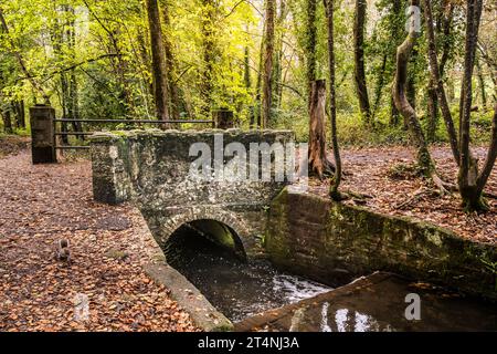 Tehidy River fließt unter einer kleinen Fußgängerbrücke in Tehidy Woods in Cornwall, Großbritannien. Stockfoto