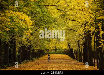 Leipzig, Deutschland. November 2023. Eine Frau hält auf ihrem Fahrrad auf einer Straße im Clara Zetkin Park an, um ein Foto der Herbstfarben zu machen. Die kommenden Tage sollen mild bleiben, aber mit wenig Aussicht auf Sonnenschein. Quelle: Jan Woitas/dpa/Alamy Live News Stockfoto