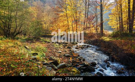 Naturlandschaft mit Bäumen in goldenem Laub am Ufer eines flachen Flusses im Herbst Stockfoto