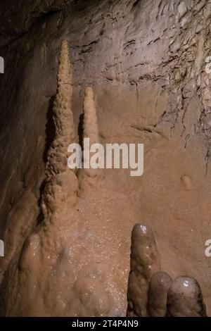 Höhlen von Vallorbe, Schweiz, Europa Stockfoto