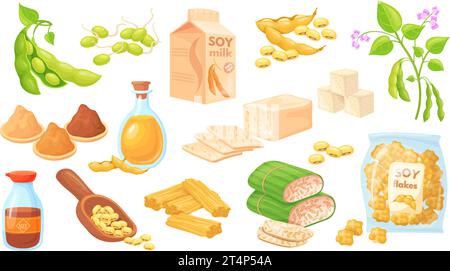 Cartoon Soja Lebensmittel. Sojabohnen kochen Zutaten, Tofu Haut Tempeh Sojabohnen Edamame Spross Pflanze Miso Paste Soße Milch Protein Ernährung, Bio Produkt sauber Vektor Illustration von Soja oder Soja Stock Vektor