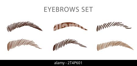 Verschiedene Symbole für weibliche Augenbrauen eingestellt. Make-up-Augenbrauen Stock Vektor
