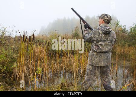 An einem nebeligen Herbstmorgen hielt ein Jäger mit einer Schrotflinte in den Händen am Rande des Sumpfes vor einem Dickicht von Welpen an Stockfoto