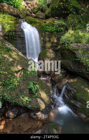 Malerischer Blick auf einen Wasserfall an der Umkar Living Root Bridge in Laitkynsew in der Nähe von Cherrapunji, Meghalaya, Indien Stockfoto