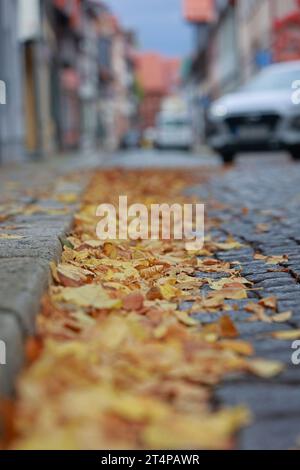 Wernigerode, Deutschland. November 2023. Bunte Herbstblätter liegen auf der Straße im Stadtzentrum von Wernigerode. Die kommenden Tage sollten mild bleiben, aber wenig Aussicht auf Sonne. Quelle: Matthias Bein/dpa/Alamy Live News Stockfoto