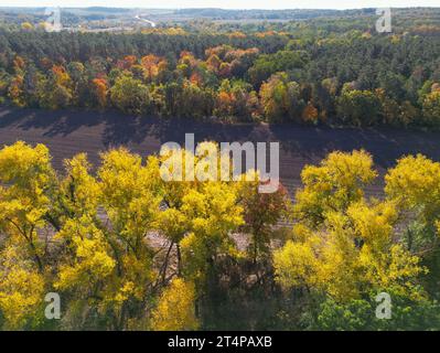 01. November 2023, Brandenburg, Frankfurt (oder): Herbstfarbene Bäume auf einem Feld (Luftaufnahme mit Drohne). Foto: Patrick Pleul/dpa Stockfoto