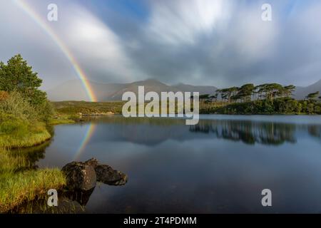 Derryclare Lough ist ein Süßwassersee, der von den Twelve Bens Bergen und Wäldern in Connemara, Irland, umgeben ist. Stockfoto