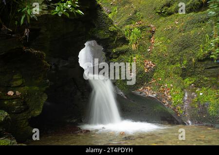 Wasserfall: St. Nectan's Glen, Tintagel, Cornwall, Großbritannien Stockfoto