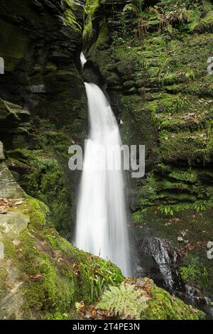 Wasserfall: St. Nectan's Glen, Tintagel, Cornwall, Großbritannien Stockfoto