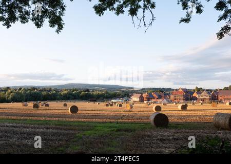 Neue Häuser werden auf dem Green Belt-Land gebaut Stockfoto