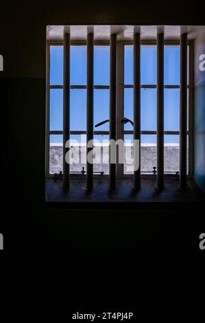 29.10.2023, xovx, Politik, Reise. Robben Island - Gefängnisinsel vor Kapstadt Blick aus einer Einzelhaft-Zelle im Zellentrakt in dem Nelson Mandela über 18 Jahre inhaftierten Krieg. Die Zelle mit einer Größe von vier Quadratmetern befindet sich im selben Zellenblock des Hochsicherheitstrakts auf der Gefängnisinsel Robben Island vor der Küste von Kapstadt in der Nelson Mandela inhaftiert war. Der spätere Präsident Südafrikas Nelson Mandela verbrachte hier von 1964 bis 1982 seiner insgesamt 27-jährigen Gefangenschaft, zumeist bei Einzelhaft und unmenschlichen Bedingungen. Robben Island ist eine Inse Stockfoto