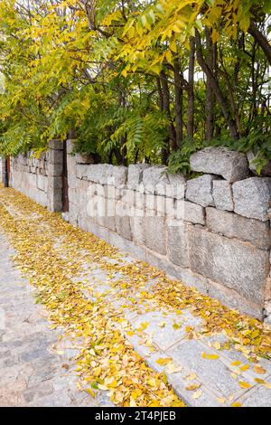 Stein Gehweg bedeckt mit gefallenen gelben Herbstblättern, Steinzaun mit gelben und grünen Bäumen, Avila, Spanien. Stockfoto