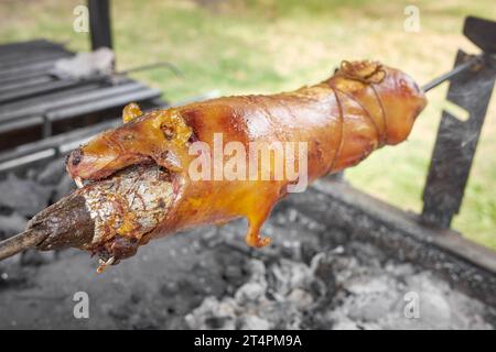 Nahaufnahme eines gerösteten Meerschweinchens auf einem Grill, selektiver Fokus, Ecuador. Stockfoto