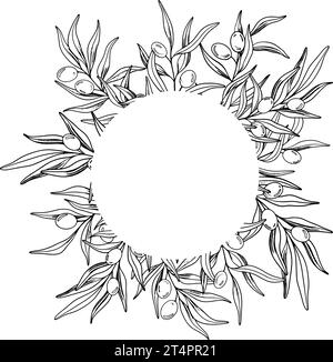 Skizzenrahmen aus Olivenzweig mit Beeren und Blättern. Handgezeichnete Vektorlinie Illustration. Schwarz-weiße Zeichnung des Symbols Italiens oder Griechenlands Stock Vektor