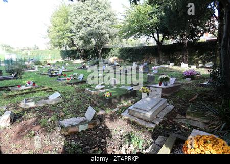 Rijeka, Kroatien. November 2023. Gräber von Haustieren auf dem Tierfriedhof in Kozala, dekoriert mit Blumen und Kerzen am Allerheiligen in Rijeka, Kroatien, am 1. November 2023. Foto: Goran Kovacic/PIXSELL Credit: Pixsell/Alamy Live News Stockfoto